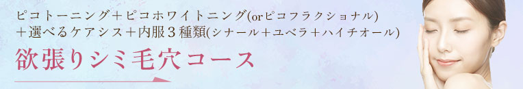 欲張りシミ毛穴コース