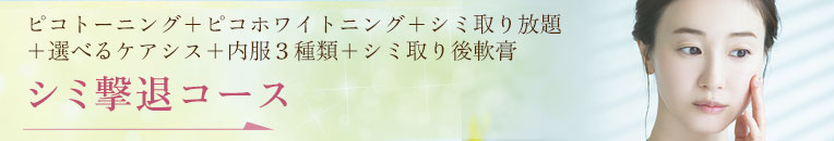 シミ撃退コース